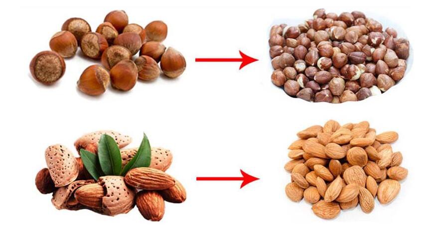 apricot shelling machine for sale apricot shelling machine for sale