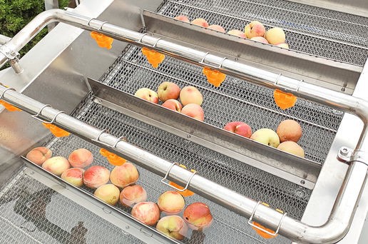 apple washing machine apple washing machine